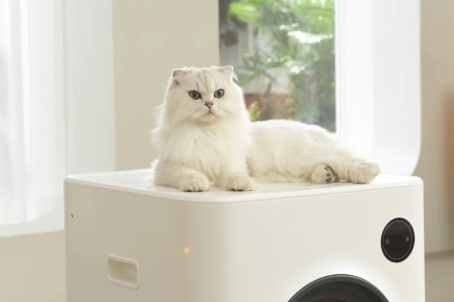 best litter boxes to control odor